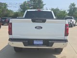 Used 2024 Ford F150 XLT image 5