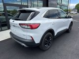 Used 2022 Ford Escape SE w/ Cold Weather Package image 3