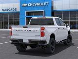 New 2025 Chevrolet Silverado 1500 Custom Trail Boss w/ Turbomax Blackout Package image 4