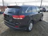 Used 2017 Kia Sorento AWD image 6