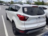 Used 2019 Ford Escape SEL image 3