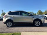 Used 2017 Ford Escape SE w/ Equipment Group 201A image 5