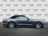 Used 2016 Ford Mustang Premium image 3