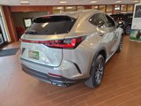 Certified 2024 Lexus NX 350h AWD w/ Premium Package image 3