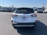 Used 2020 Ford Escape SE image 4