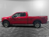 Used 2021 Ford F150 XLT w/ Equipment Group 302A High image 2