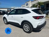 New 2025 Ford Escape Active image 5