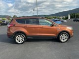 Used 2017 Ford Escape SE w/ Equipment Group 201A image 4