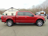 Used 2019 Ford F150 XLT w/ Equipment Group 302A Luxury image 2