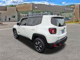 Used 2021 Jeep Renegade Trailhawk image 5
