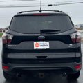 Used 2017 Ford Escape SE w/ Equipment Group 201A image 4
