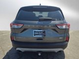 Used 2020 Ford Escape Titanium w/ Titanium Premium Package 2.0 image 4