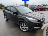 Used 2015 Ford Escape Titanium w/ Equipment Group 301A image 3