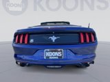 Used 2015 Ford Mustang Convertible image 5