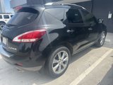 Used 2014 Nissan Murano LE w/ Platinum Edition Package image 3