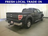 Used 2013 Ford F150 XLT w/ Luxury Equipment Group image 5