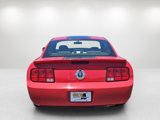 Used 2008 Ford Mustang Deluxe image 6