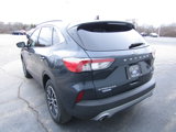 Used 2022 Ford Escape Titanium w/ Titanium Premium Package image 5
