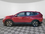 Certified 2022 Honda CR-V Special Edition image 5