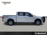 Used 2015 Ford F150 XLT w/ Equipment Group 301A Mid image 5