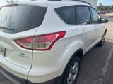 Used 2014 Ford Escape SE w/ Equipment Group 201A image 3