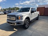 Used 2019 Ford F150 XLT w/ Equipment Group 302A Luxury image 6
