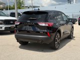 Certified 2022 Ford Escape SE w/ SE Sport Appearance Package image 3