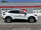 Used 2022 Ford Escape SE w/ Convenience Package image 2