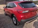 Used 2022 Ford Escape SE w/ Convenience Package image 4