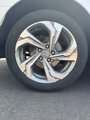 Used 2020 Honda Accord EX-L image 5
