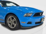 Used 2011 Ford Mustang Premium w/ 201A Rapid Spec Order Code image 3