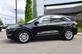 Used 2022 Ford Escape SE w/ Convenience Package image 2