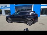 Used 2022 Hyundai Tucson Limited image 6