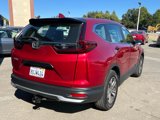 Used 2020 Honda CR-V LX image 5