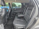 Used 2020 Ford Escape SEL image 5