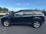 Used 2017 Ford Escape SE w/ SE Leather Comfort Package image 2