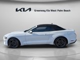 Used 2019 Ford Mustang Premium image 5