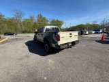 Used 2013 Ford F150 Raptor w/ Luxury Equipment Group image 4