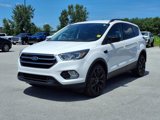 Used 2019 Ford Escape SE image 3
