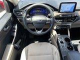 Used 2020 Ford Escape Titanium image 4