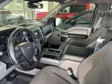 Used 2019 Ford F150 XLT w/ Equipment Group 302A Luxury image 5