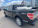Used 2011 Ford F150 Platinum image 5