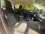 Used 2024 Kia Forte LXS image 6
