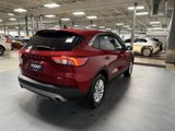 Used 2020 Ford Escape SE image 4