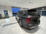 Used 2020 Kia Telluride SX image 5