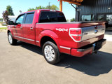 Used 2013 Ford F150 Platinum image 6
