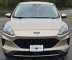 Used 2020 Ford Escape SE image 2