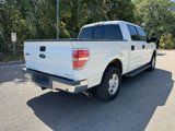 Used 2013 Ford F150 XLT w/ XLT Convenience Pkg image 3