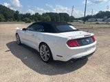 Used 2019 Ford Mustang Premium w/ Pony Package image 5