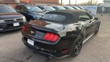 Used 2019 Ford Mustang Premium image 6
